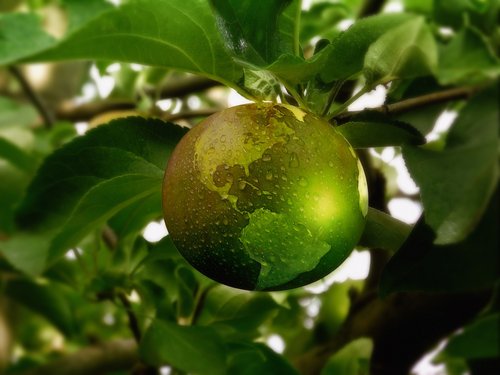 Apfel mit Weltkugel auf Baum